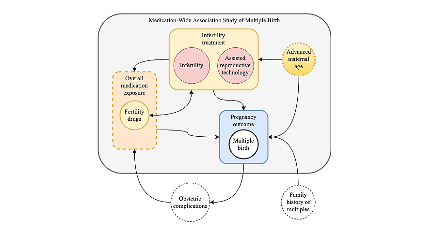 Confounding relationships for medication-outcome associations are illustrated. Within the MWAS, we adjust for maternal age, infertility diagnosis, and assisted reproductive technology–resulting pregnancy diagnosis. The study does not adjust for all known associations of multiple birth such as obstetric complications or family history of multiples. The validation of the MWAS models observed performance in capturing fertility medication exposure.